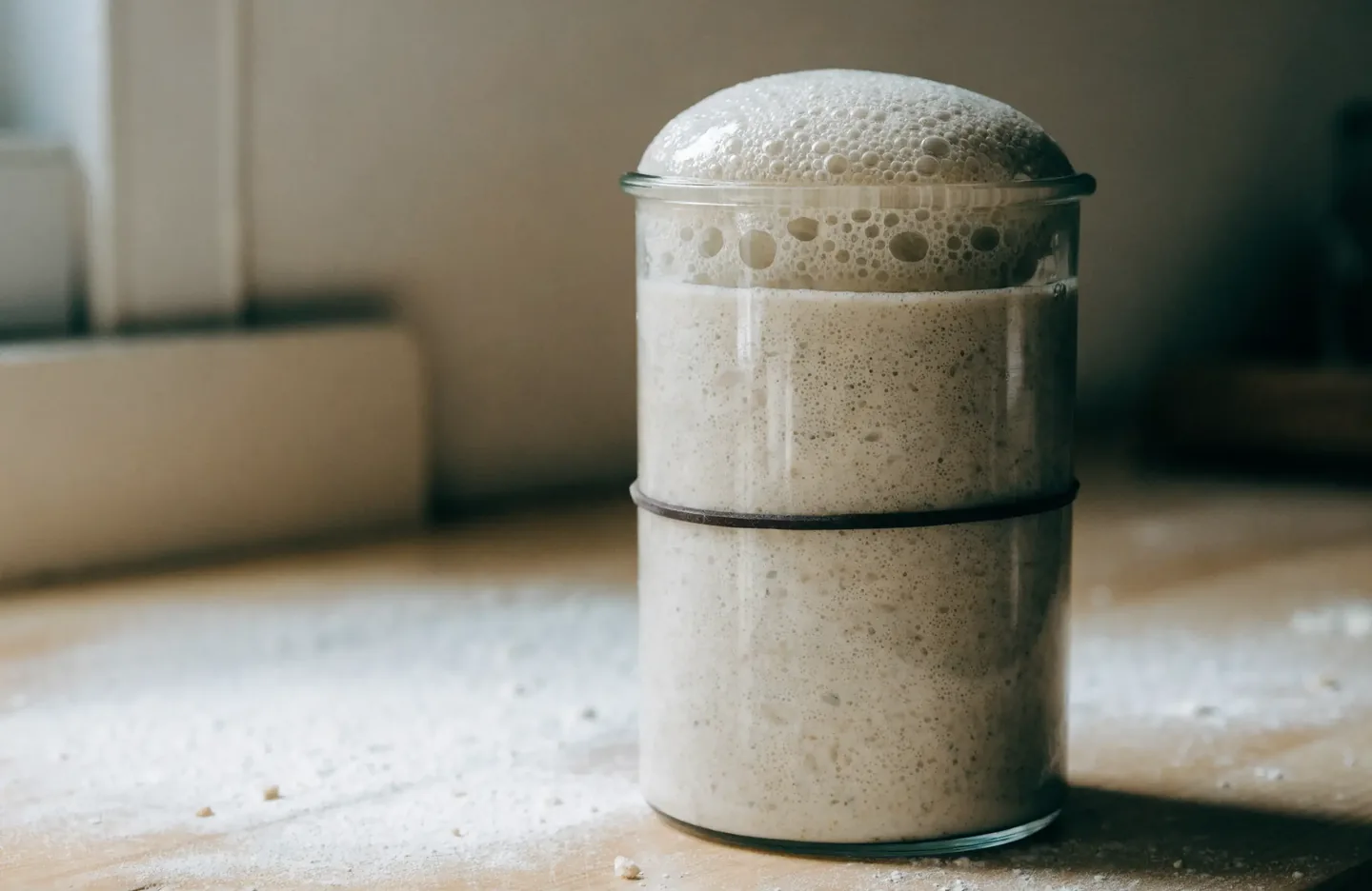 A sourdough starter at its peak in a straight-sided jar, domed and full of small bubbles, risen well above the rubber band marking the level at feeding